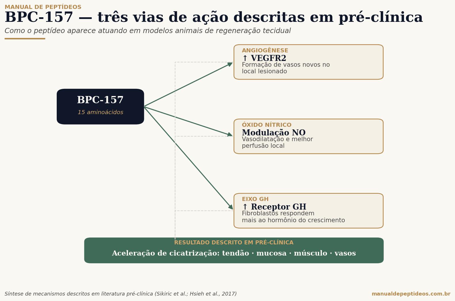 Diagrama do mecanismo de ação do BPC-157 mostrando três vias principais: angiogênese via VEGFR2, modulação de óxido nítrico para perfusão local e aumento do receptor de GH em fibroblastos.