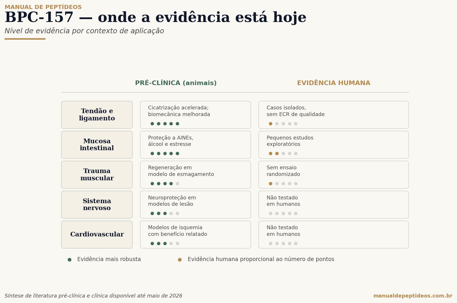 Diagrama mostrando aplicações estudadas do BPC-157 separadas por nível de evidência: tendão, intestino, músculo e neuroproteção em pré-clínica forte; uso humano experimental em todas as áreas.