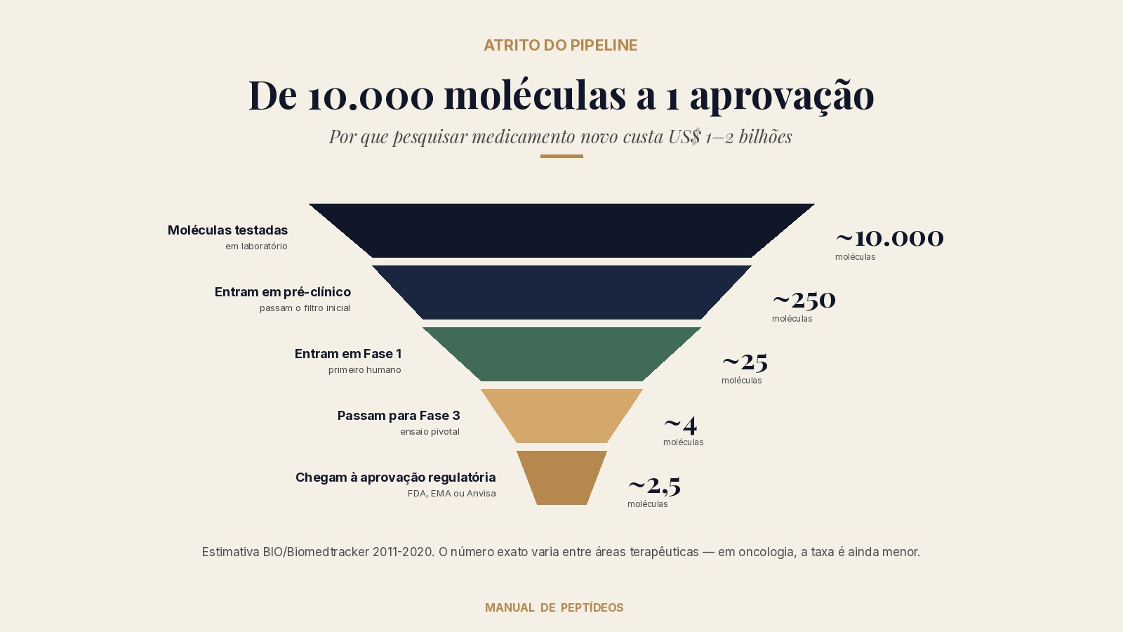 Funil descendente mostrando o atrito da pesquisa farmacêutica: de aproximadamente 10.000 moléculas testadas em laboratório, cerca de 250 entram em pré-clínico, 25 chegam à Fase 1, 4 passam para Fase 3 e apenas 2,5 chegam à aprovação regulatória.