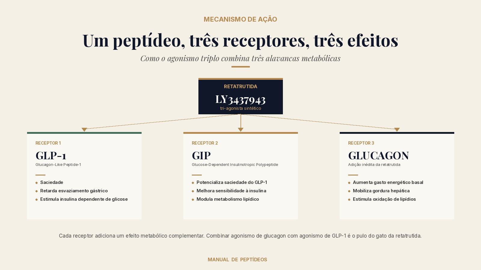 Diagrama do mecanismo da retatrutida (LY3437943): hub central da molécula tri-agonista conecta-se a três receptores — GLP-1 (saciedade, retardo de esvaziamento gástrico, estímulo de insulina), GIP (potencialização da saciedade, sensibilidade à insulina, metabolismo lipídico) e Glucagon (aumento de gasto energético basal, mobilização de gordura hepática, oxidação de lipídios).