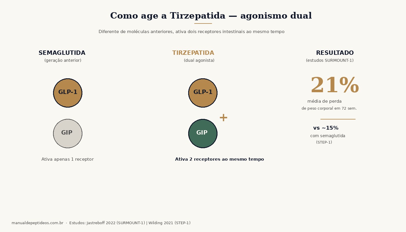 Diagrama comparando o mecanismo de semaglutida (que ativa apenas o receptor GLP-1) e tirzepatida (que ativa simultaneamente GLP-1 e GIP), com resultados de perda de peso dos estudos clínicos.